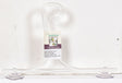 Audubon Clear Glass 11.5 in. H Window Plant Hanger 1 pk