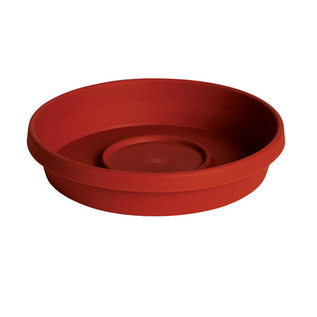 Bloem Terratray 1.2 in. H X 5.5 in. D Resin Traditional Tray Terracotta Clay