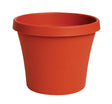 Bloem Terrapot 5.5 in. H X 6 in. D Resin Traditional Planter Terracotta Clay