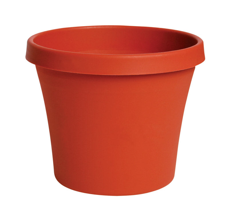 Bloem Terrapot 5.5 in. H X 6 in. D Resin Traditional Planter Terracotta Clay