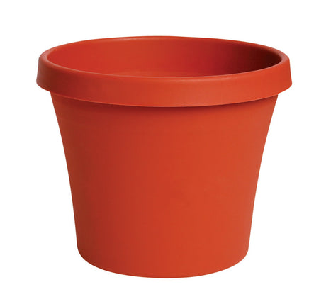 Bloem Terrapot 5.5 in. H X 6 in. D Resin Traditional Planter Terracotta Clay