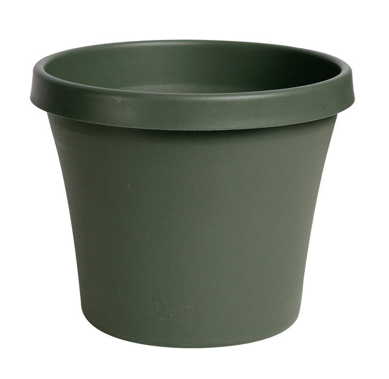 Bloem TerraPot 7 in. H X 8 in. D Resin Planter Living Green