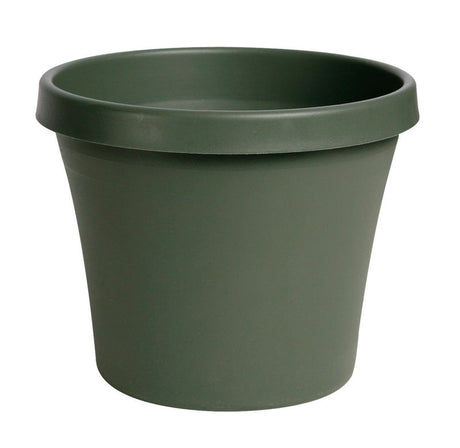 Bloem TerraPot 9 in. H X 10 in. D Resin Planter Living Green