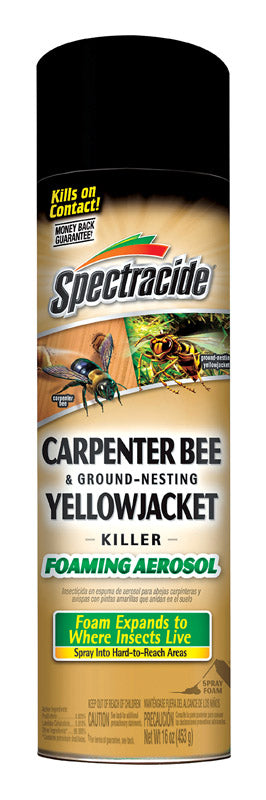 Spectracide Insect Killer Foam 16 oz