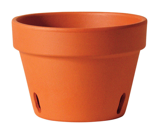 Deroma 3.8 in. H X 5.1 in. D Clay Orchid Planter Terracotta