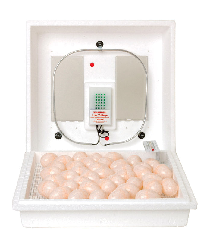 Little Giant Plastic Egg Incubator