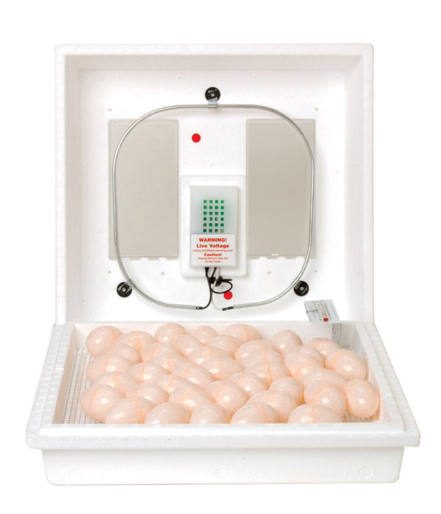 Little Giant Plastic Egg Incubator