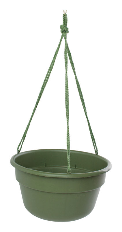 Bloem 6.8 in. H X 12.4 in. D Resin Dura Cotta Hanging Basket Living Green