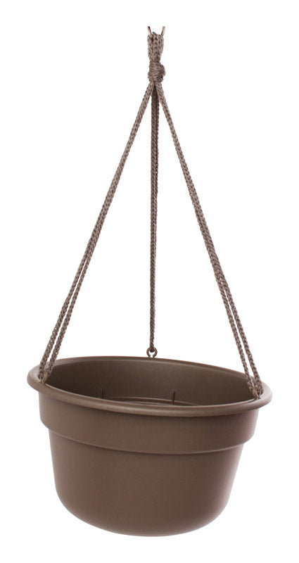 Bloem 6.8 in. H X 12.4 in. D Resin Hanging Basket Chocolate