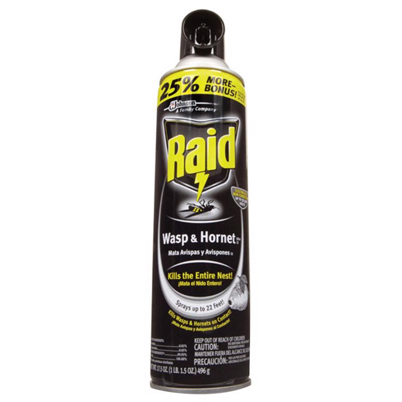 Raid Wasp and Hornet Killer Spray 17.5 oz