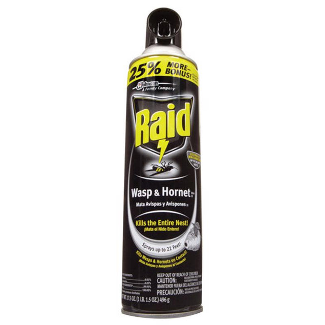 Raid Wasp and Hornet Killer Spray 17.5 oz