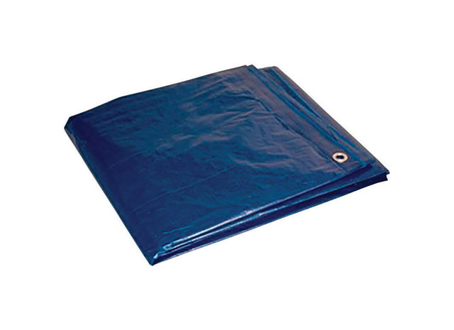 Foremost 20 ft. W X 30 ft. L Light Duty Polyethylene Tarp Blue