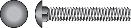 Hillman 1/2 in. X 5-1/2 in. L Zinc-Plated Steel Carriage Bolt 25 pk