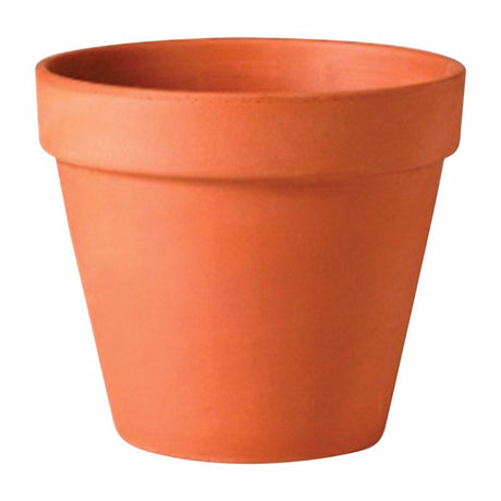 Deroma 2.4 in. H X 2.8 in. D Clay Standard Planter Terracotta