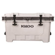 Igloo IMX White 70 qt Cooler