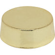 1" Plain Knob - 1/8 IP - 3/8" Height - Polished Brass Finish