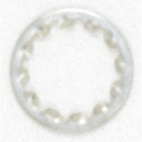 Toothwasher - 1/8 IP Slip - Zinc Plated Finish