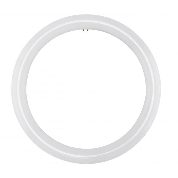 LED Circline - 16 Watt - T9 - 3000K - G10Q Base - 120-277 Volt - Type B - Ballast Bypass