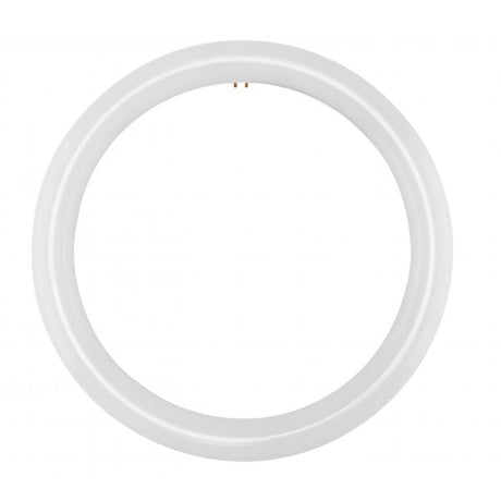 LED Circline - 16 Watt - T9 - 6500K - G10Q Base - 120-277 Volt - Type B - Ballast Bypass