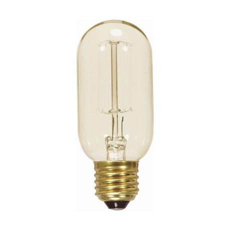40 Watt T14 Incandescent - Clear - 3000 Average rated hours - 160 Lumens - Medium base - 120 Volt
