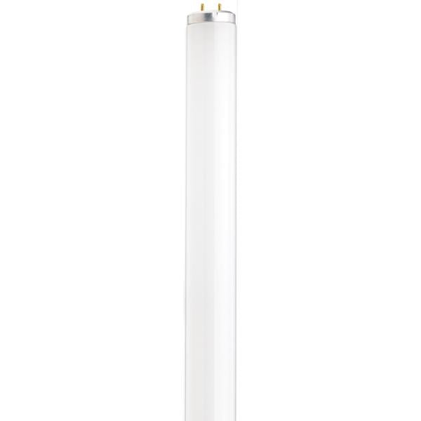 15 Watt - Fluorescent T12 - 3000K - Medium Bi-Pin Base