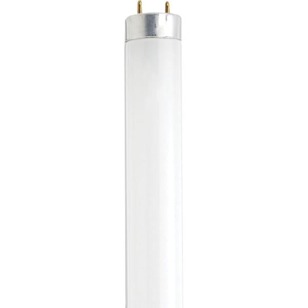 14 Watt - Fluorescent T8 - 6500K - Daylight - Medium Bi-Pin (G13) Base