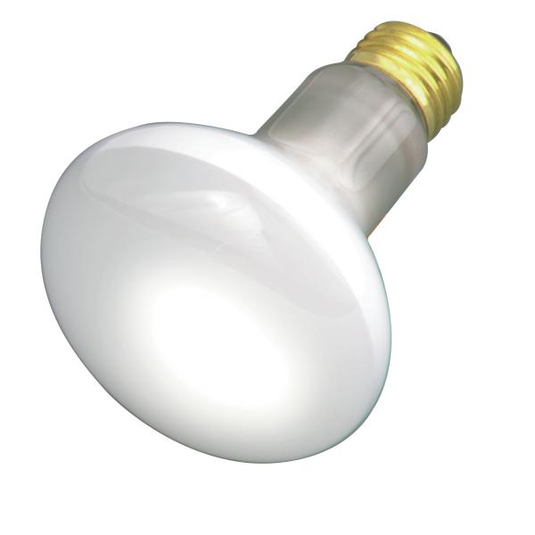 30 Watt R20 Incandescent - Frost - 2000 Average rated hours - 185 Lumens - Medium base - 130 Volt