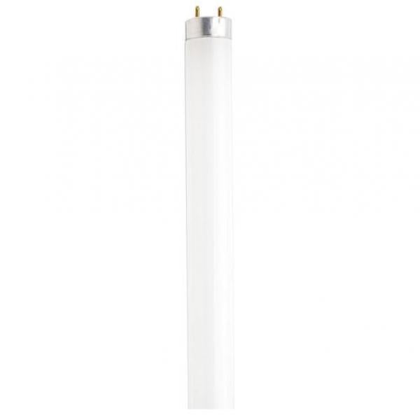 32 Watt - T8 - Fluorescent - 4100K Cool White - 85 CRI - Medium Bi Pin base