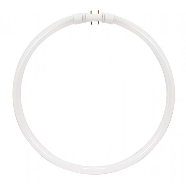 55 Watt - T5 - Circline Fluorescent - 3000K Warm White - 82 CRI - 2GX13 (4-Pin) base