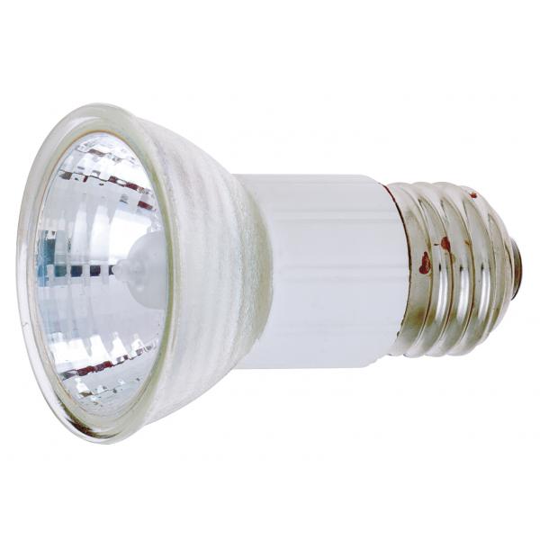 100 Watt - Halogen - JDR - Clear - 2000 Average rated hours - 1000 Lumens - European Medium base - 120 Volt