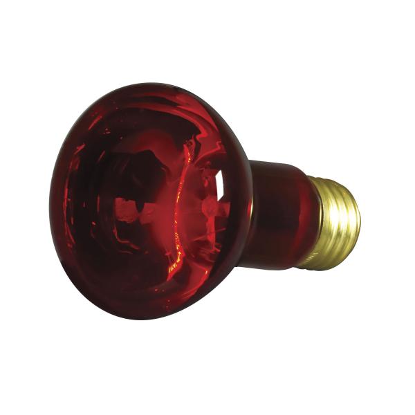 50 Watt R20 Incandescent - Red - 2000 Average rated hours - Medium base - 130 Volt