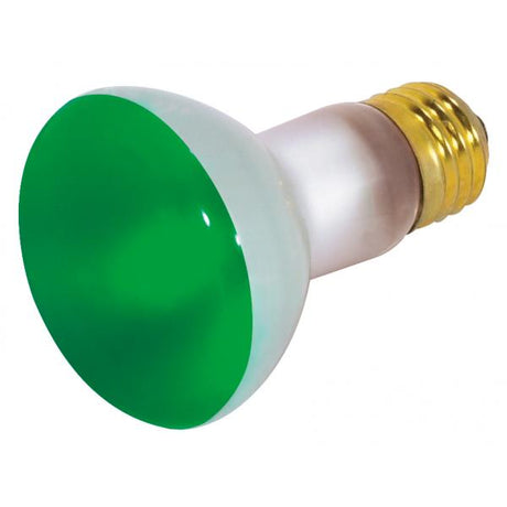 50 Watt R20 Incandescent - Green - 2000 Average rated hours - Medium base - 130 Volt