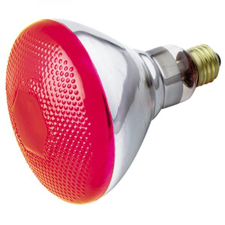 100 Watt BR38 Incandescent - Red - 2000 Average rated hours - Medium base - 120 Volt