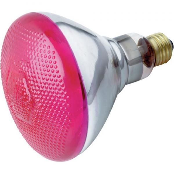 100 Watt BR38 Incandescent - Pink - 2000 Average rated hours - Medium base - 120 Volt