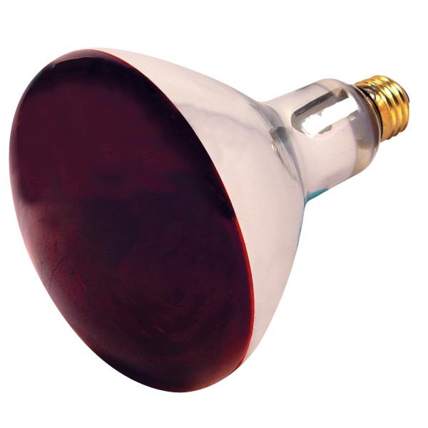 250 Watt R40 Incandescent - Red Heat - 6000 Average rated hours - Medium base - 120 Volt