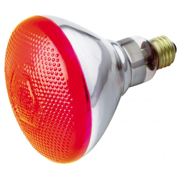 100 Watt BR38 Incandescent - Red - 2000 Average rated hours - Medium base - 230 Volt