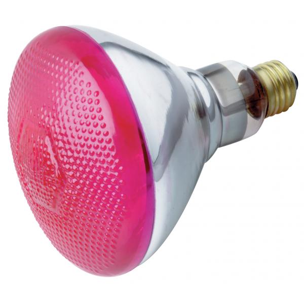 100 Watt BR38 Incandescent - Pink - 2000 Average rated hours - Medium base - 230 Volt