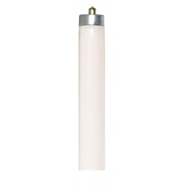 38 Watt - T8 - Fluorescent - 4200K Cool White - 62 CRI - Single Pin base