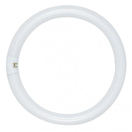 FC8T9/CW 22 WATT COOL WHITE