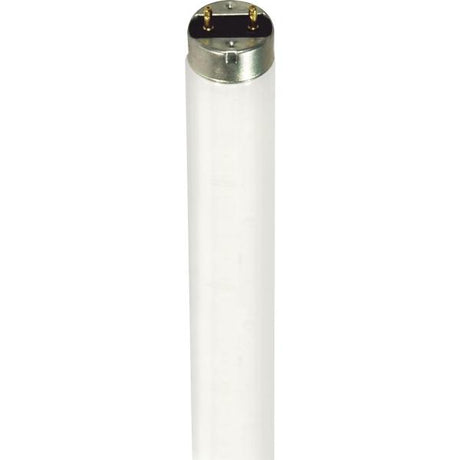 32 Watt - T8 - Fluorescent - 4100K Cool White - Medium Bi Pin base - TF Shatter Proof