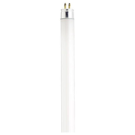 8 Watt - T5 - Preheat Fluorescent - 3500K Cool White - 62 CRI - Miniature Bi Pin base