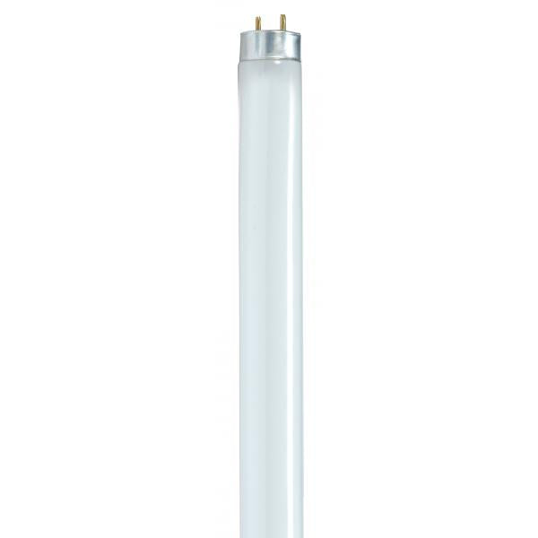 25 Watt - T8 - Fluorescent - 3000K Warm White - 85 CRI - Medium Bi Pin base