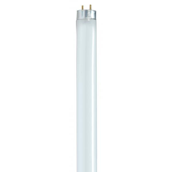 32 Watt - T8 - Fluorescent - 5000K Natural Light - 85 CRI - Medium Bi Pin base - Shatterproof coated