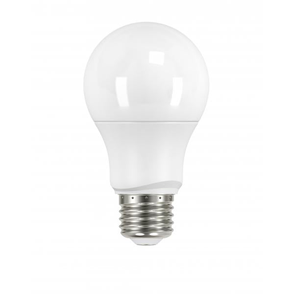 6 Watt - A19 LED - Frosted - 5000K Medium base - 220 deg. Beam Angle - 120 Volt - Non-Dimmable