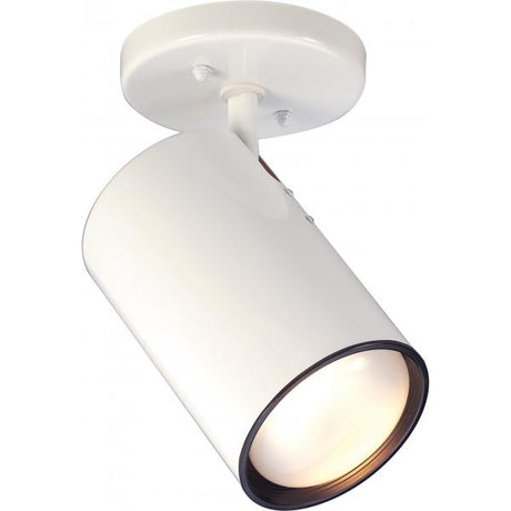 1 Light - R30 - Straight Cylinder - White Finish