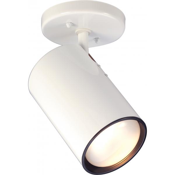 1 Light - R30 - Straight Cylinder - White Finish