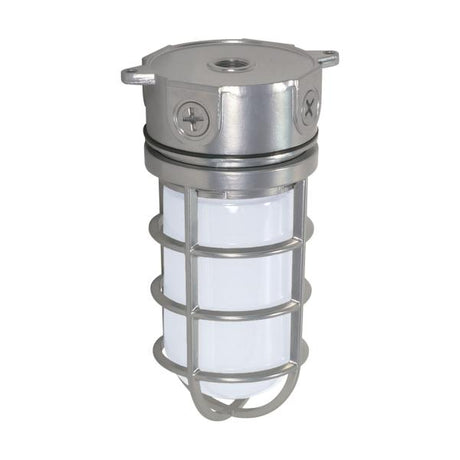 1 Light - 10" - Industrial Style - Surface Mount with Frosted Glass - Metallic Silver Finish