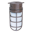 1 Light - 10" - Industrial Style - Surface Mount with Frosted Glass - Old Bronze Finish