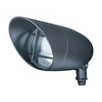 1 Light - Landscape Flood - PAR30LN Flood -Dark Bronze Finish