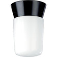 1 Light - 8" - Utility - Ceiling Mount - With White Glass Cylinder - Black Finish